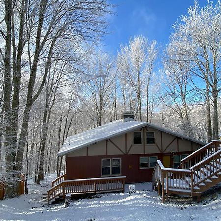 Cozy Cabin With Boosted Wi-Fi Бич Маунтин Экстерьер фото