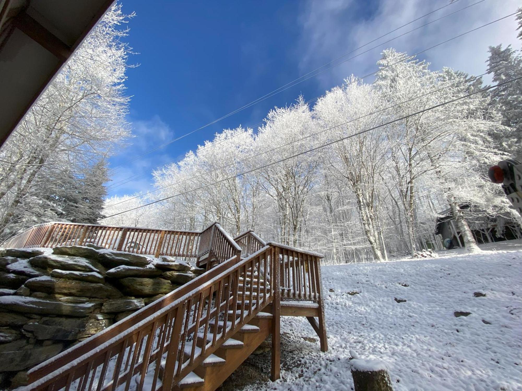 Cozy Cabin With Boosted Wi-Fi Бич Маунтин Экстерьер фото